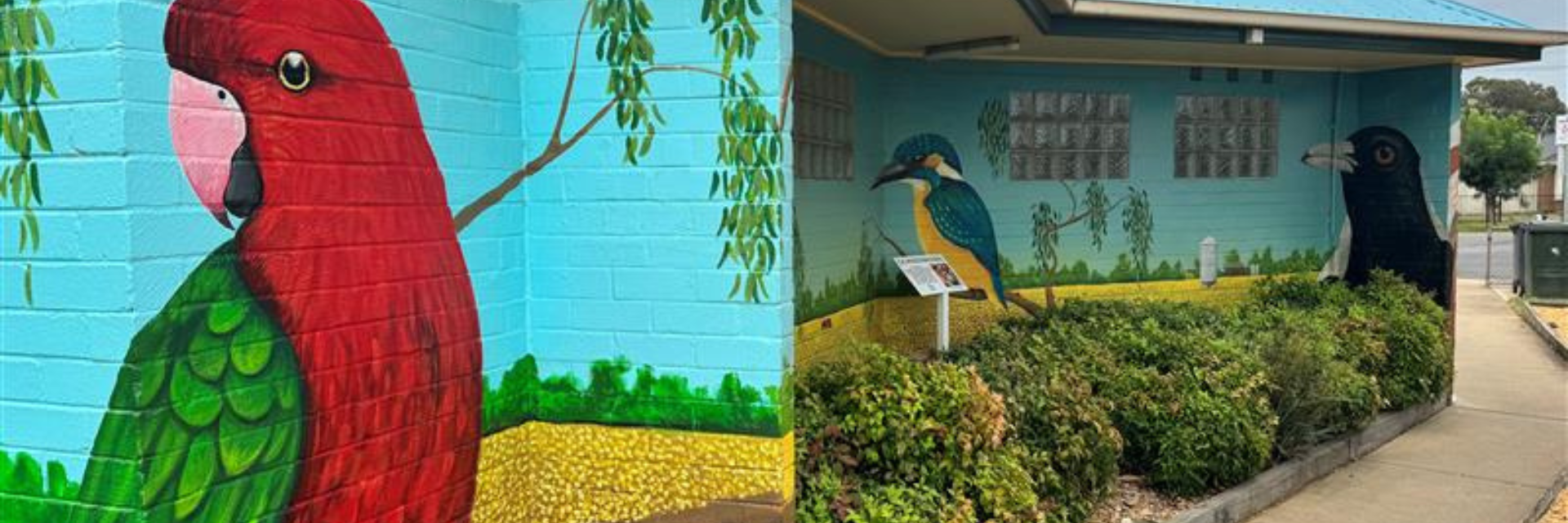 Mural of Australian native birds in Katamatite